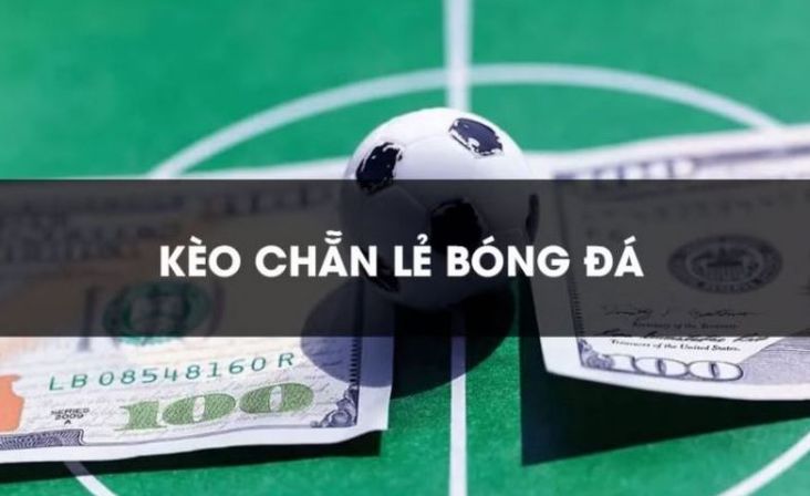 Cách liên hệ với Công ty 181Bet Games - 181Bet