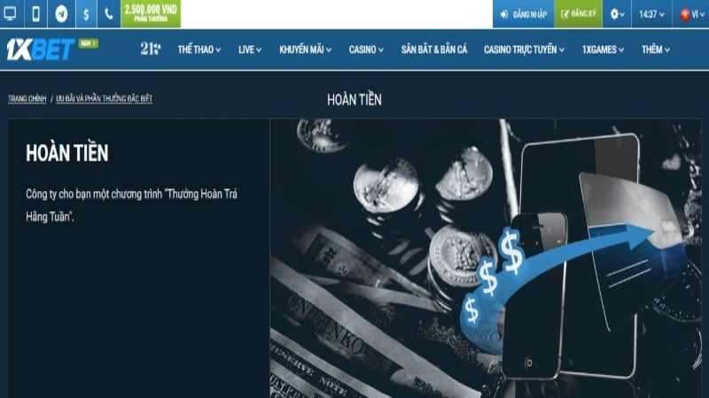 Công ty K29 Finance có cung cấp dịch vụ này không? - K29