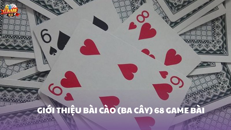 Thông tin quan trọng về chi tiết tài khoản khi gửi tiền vào tài khoản Nohu90 - Nohu90
