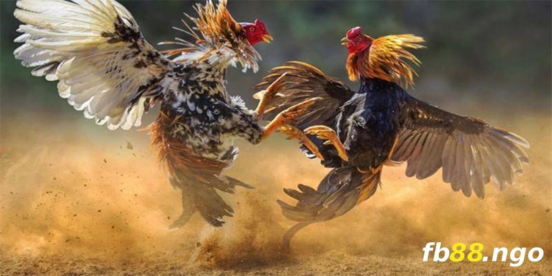 Dưới đây là một số thông tin cơ bản về trang web 999Bet Games - 999Bet