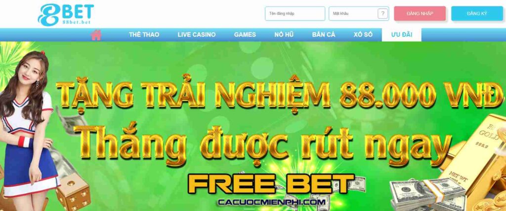 Hitclub hoặc Hitclub có nghĩa là gì? - Hitclub