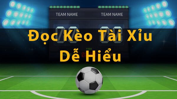 Nền tảng Thomo Fighting Cock được xếp hạng Vn6 hiện đang có uy tín tốt và chất lượng vượt trội - Vn6