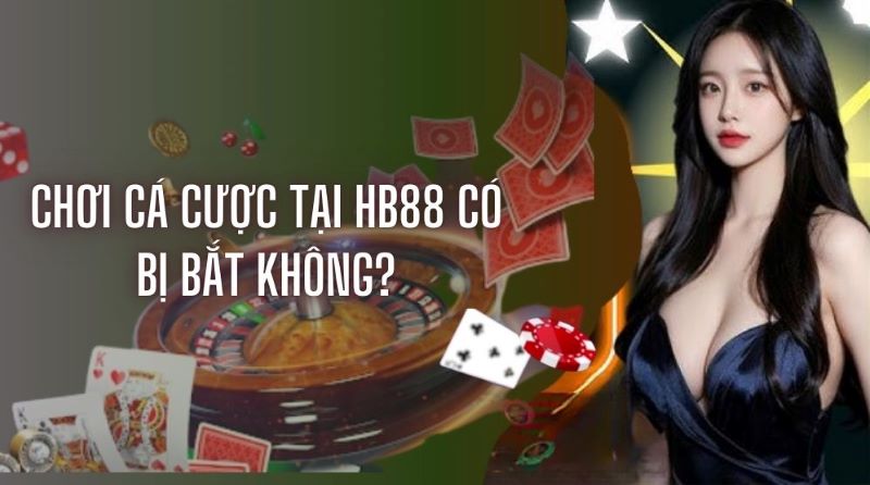 Giải đấu đá gà cấp Nohu90 được tổ chức tại Nohu90 - Nohu90