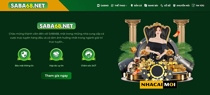 Lý do nên chọn cá cược bóng chuyền cấp độ 77Win - 77Win