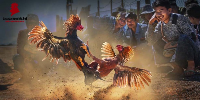 Nền tảng P3bet cung cấp các trò chơi xổ số vô cùng hấp dẫn - P3bet