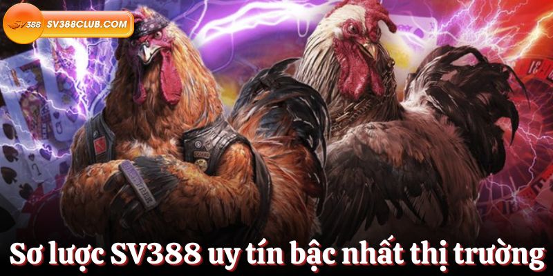 Giấy chứng nhận hoạt động của tổ chức quốc tế Gwin - Gwin