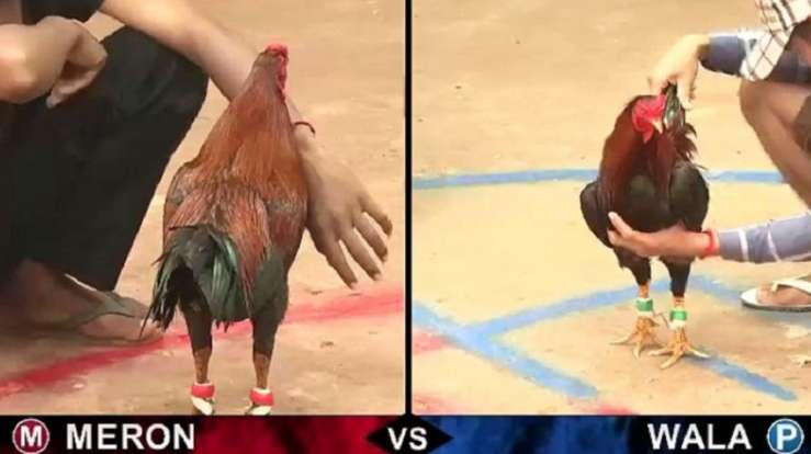 Tổng quan về cổng game thẻ bài trực tuyến Ricwin - Ricwin