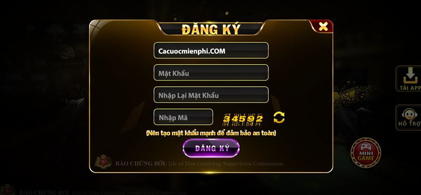 Tổng quan về kế hoạch quảng bá Hcm66 - Hcm66