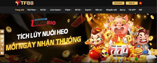 Quy trình Sodo và quảng bá thương hiệu - Sodo