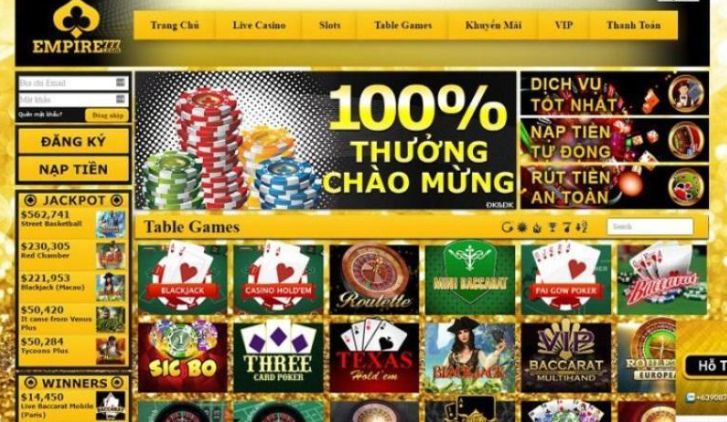 Zm88 cung cấp những dịch vụ độc đáo nào? - Zm88